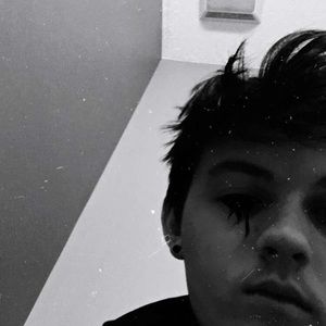 Meet your Posher, Gavin